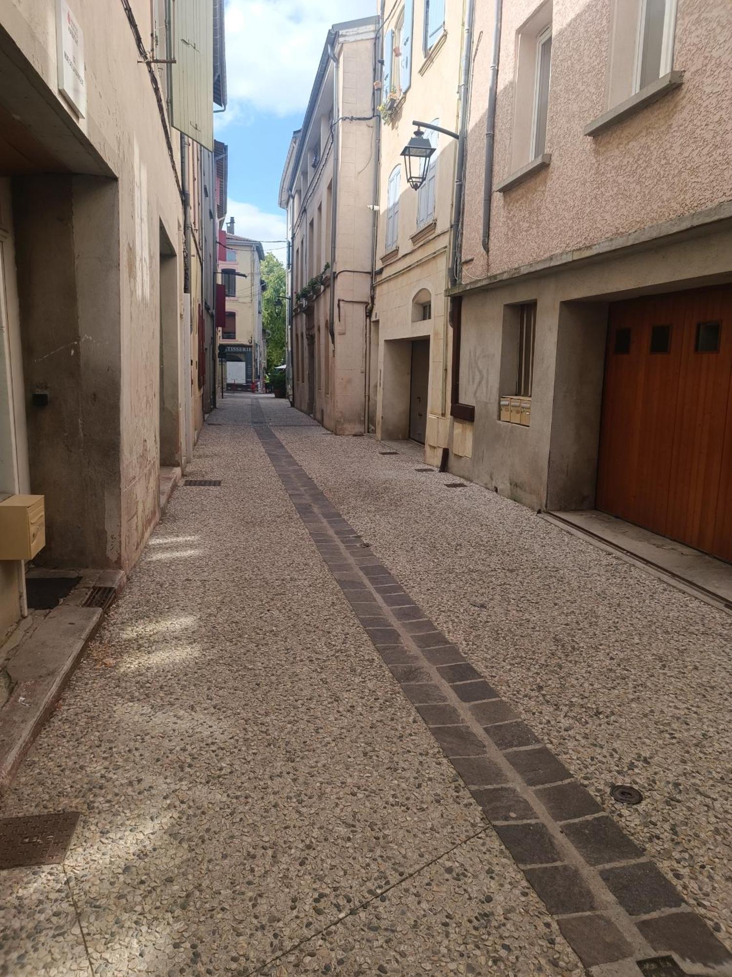Grand Studio Meuble Chez Coco Romans-sur-Isère Екстериор снимка