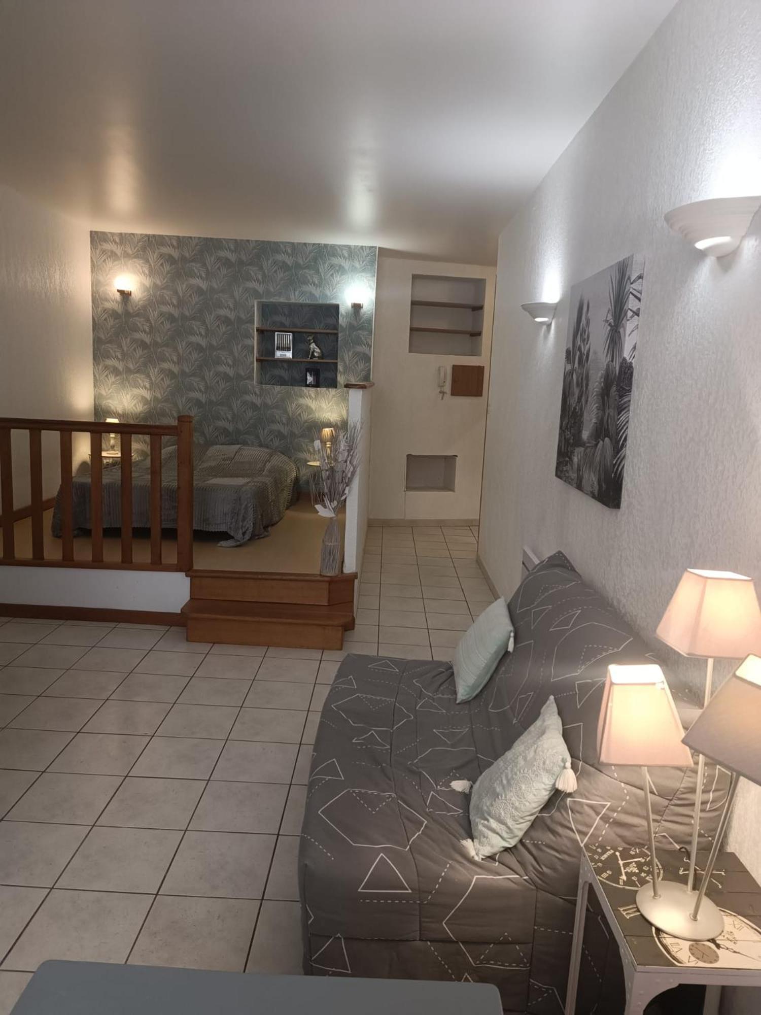Grand Studio Meuble Chez Coco Romans-sur-Isère Екстериор снимка